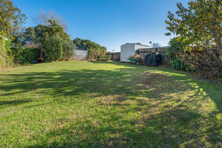 14A Walsh Road Westown_3