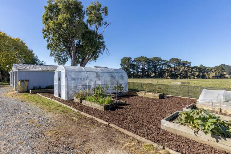 207 Totaramahonga Road Dannevirke_28