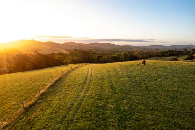 406 Old Kaipara Road Kaipara Flats_2