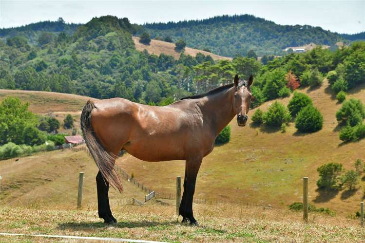 173 Bayer Road Puhoi_16