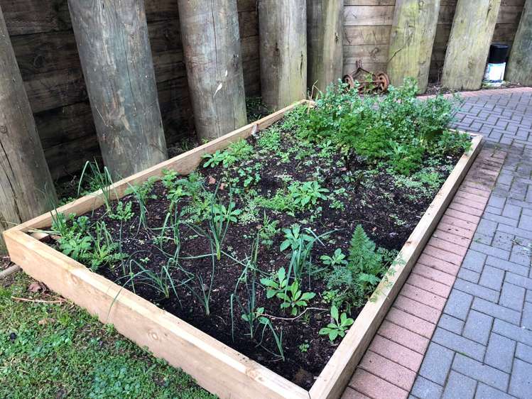 907e Mount Eden Road Mount Eden_8