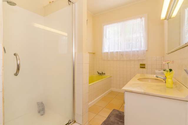 27 Awa Road Miramar_4