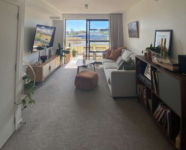 71 Hendon Avenue Mount Albert_1