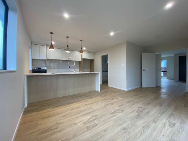 20 Neil Avenue Te Atatu Peninsula_2