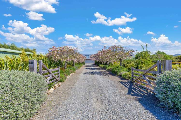 325 Georges Road Amberley_6