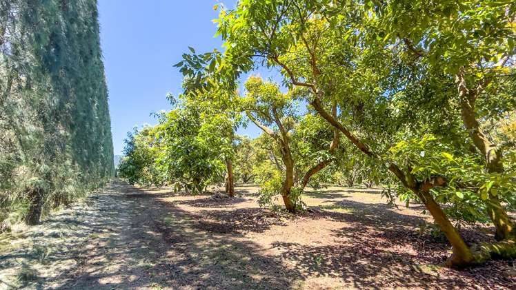 25 Orua Lane Whenuakite_5