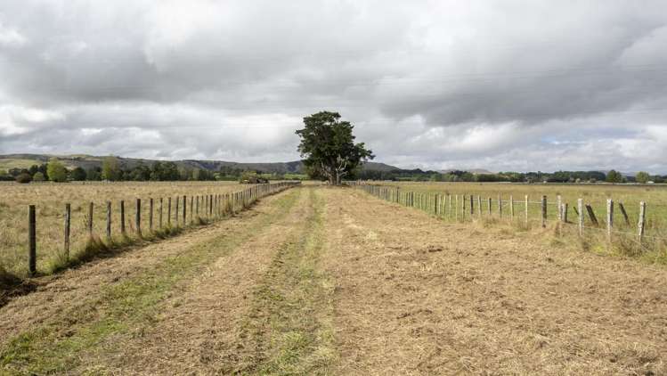 Cross Line Greytown_14