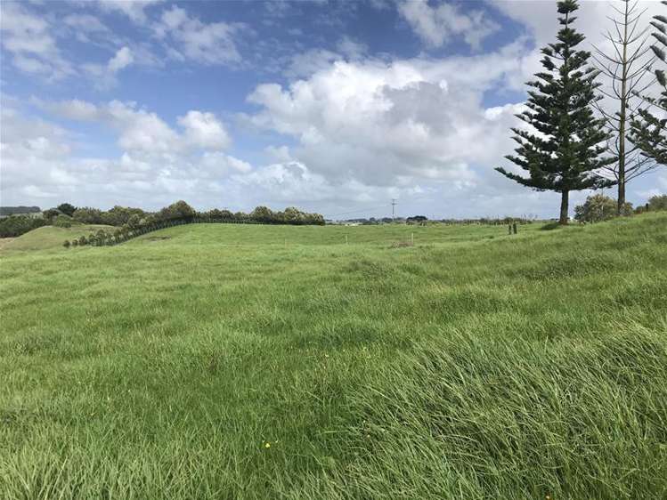 458 Baylys Coast Road Dargaville_5