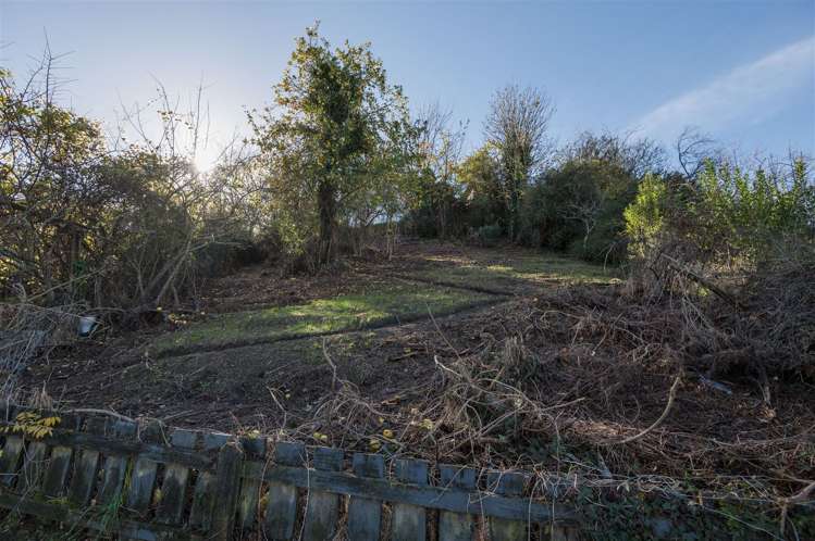 107 Toi Toi Street Toi Toi_17