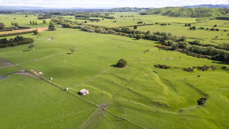 1007 State Highway 2 Masterton_15