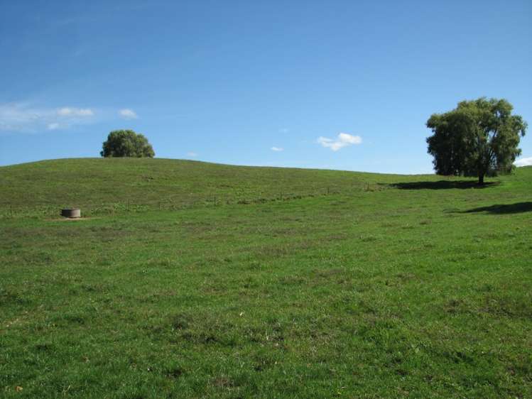 205 Gunn Road Waharoa_6