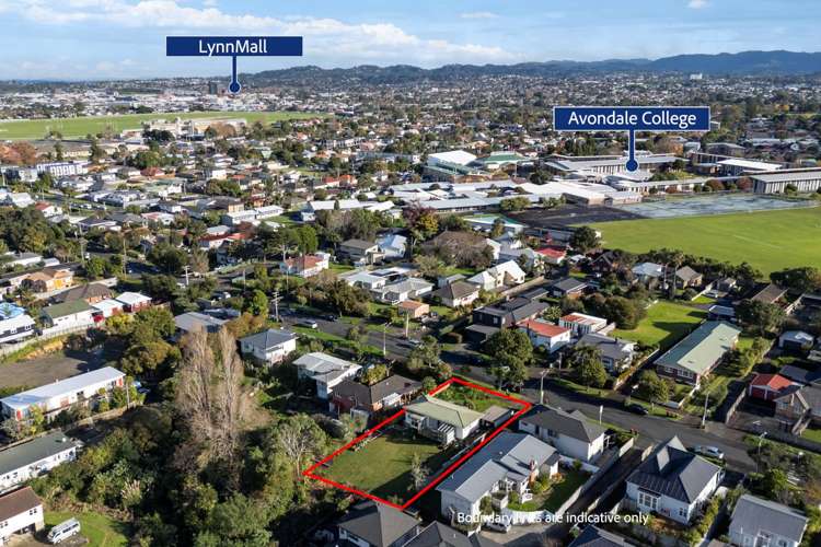 31 Holly Street Avondale_8