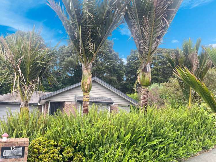 15 Tieke Place Horahora_10