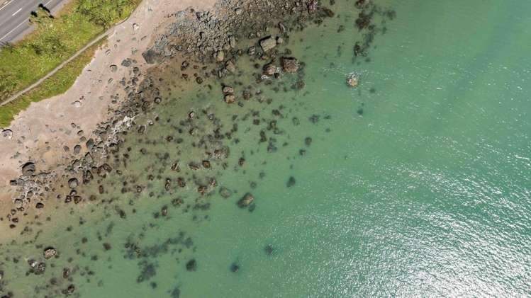 6 & 8 Irwin Street Riverton_9