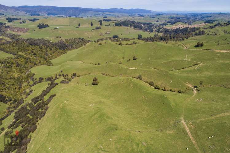 482 Table Flat Road Apiti_11