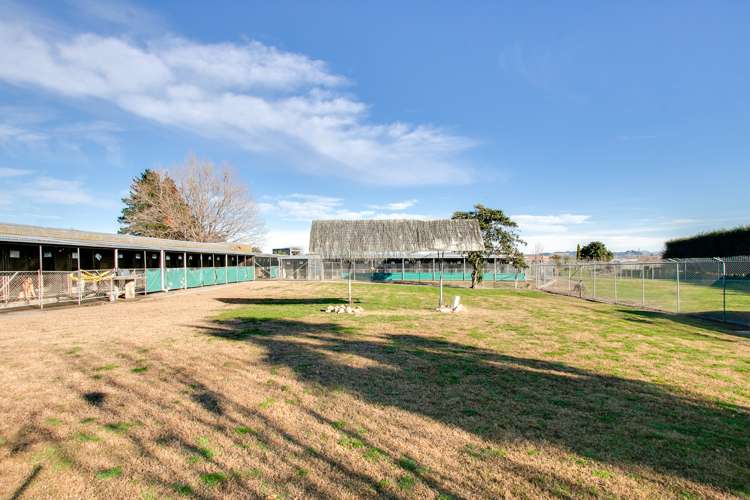 41 Gavin Black Street Meeanee_14