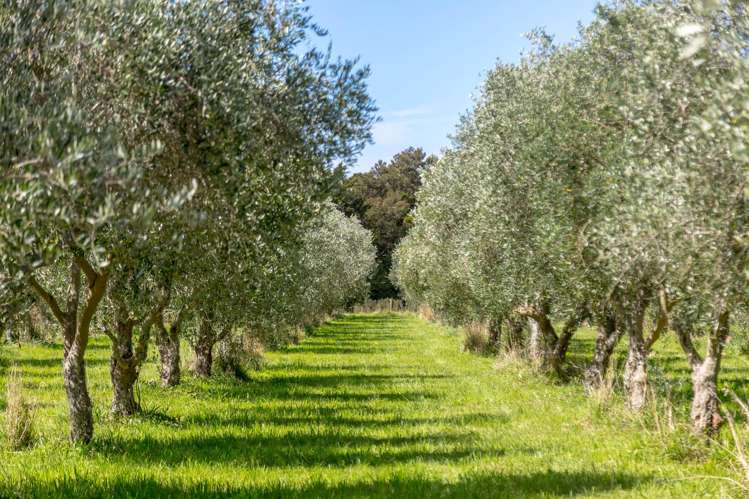 581 Matarawa Road Carterton_31