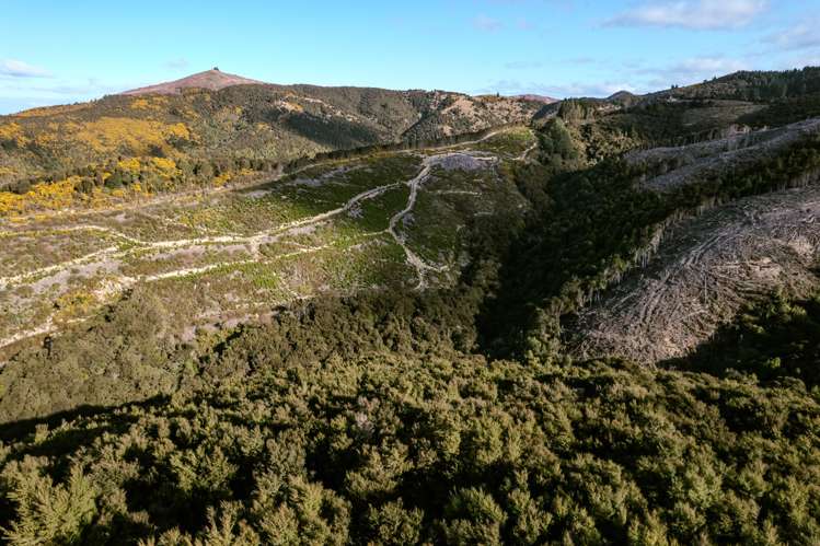 Section 24 Duncan Road Hampden_3