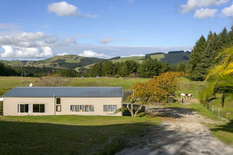 4/864 Whangamata Road Kinloch_12