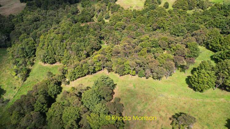 318 Franklin Road Paparoa_61