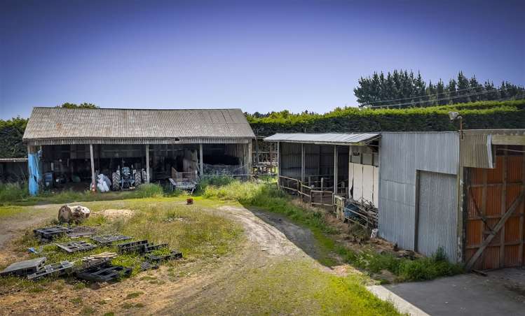 325 Curraghs Road Rolleston_26