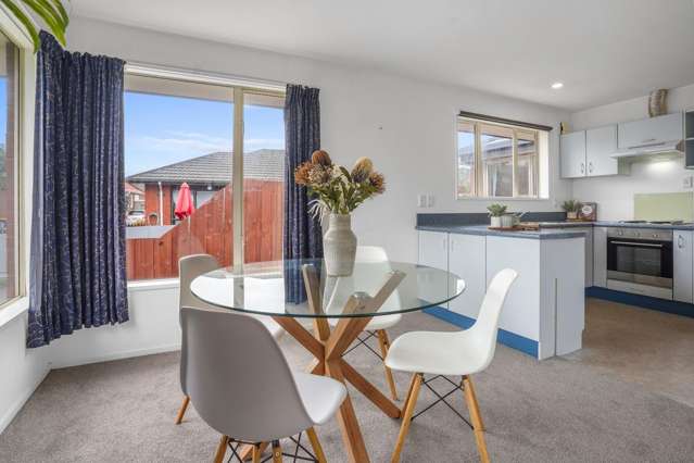 17 Broadbent Street Riccarton_2