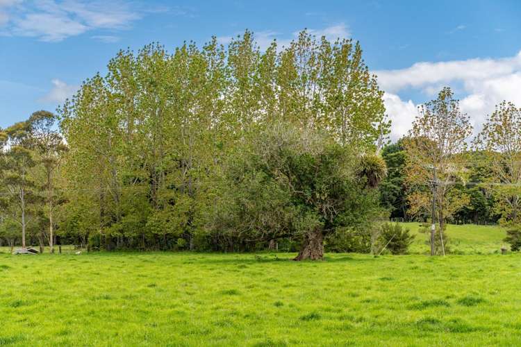 373 Taraunui Road Parua Bay_32