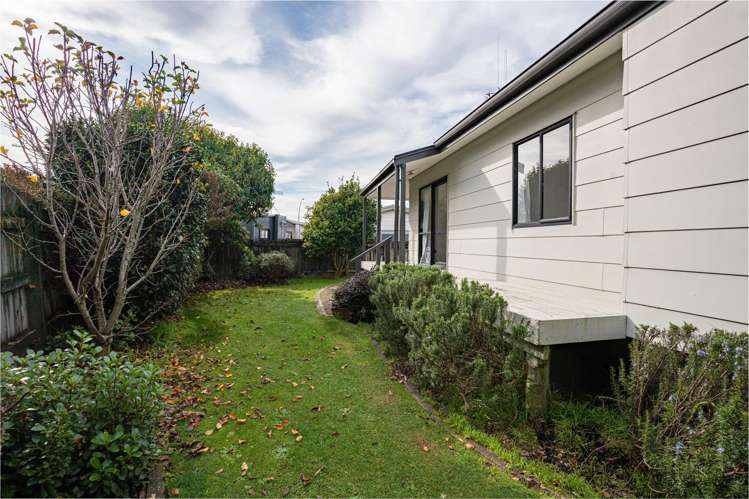 371b Kahikatea Drive Dinsdale_13