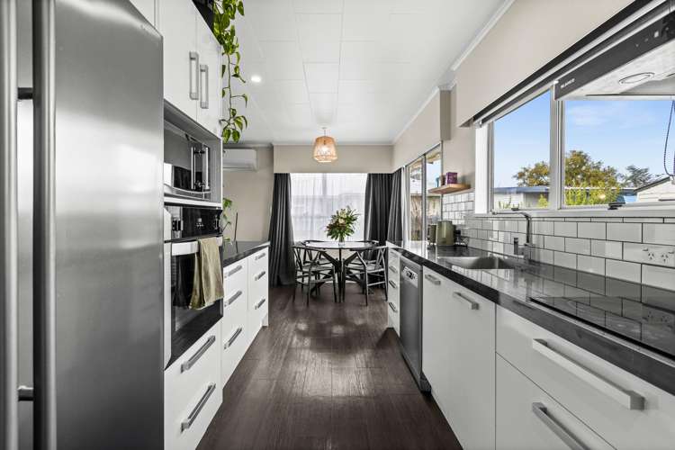 23 Plunket Street Tamatea_1