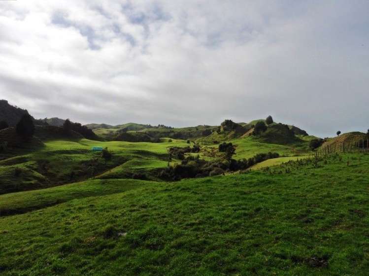 2837 State Highway 4 Aria_23