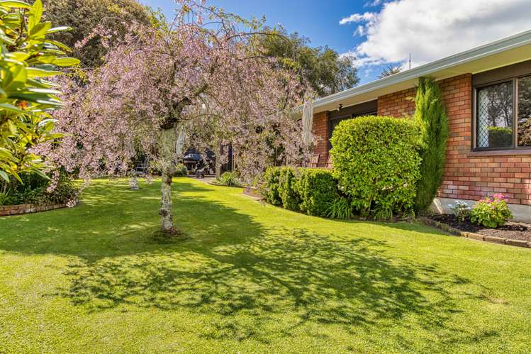 23 Tanner Street Havelock North_15
