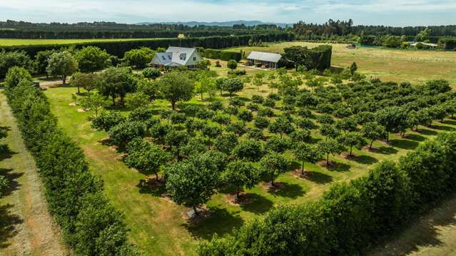 973 Hoskyns Road West Melton_2