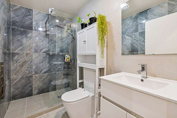 17 Dishys Road Flat Bush_11