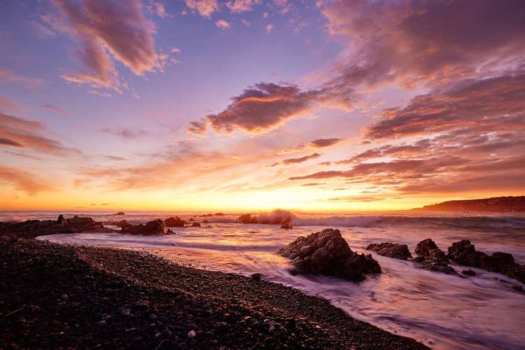 156c Esplanade Kaikoura_5