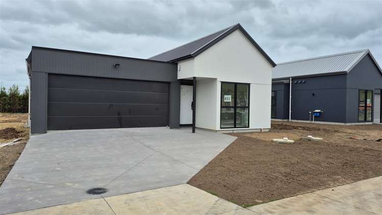 8 Mataikokako Loop_1