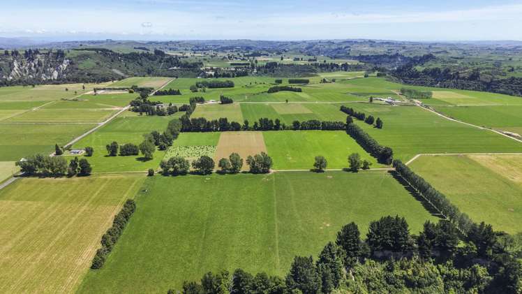 519 Main South Road Rangiwahia_22