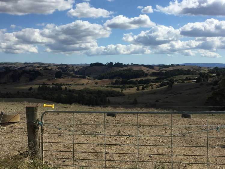 1798 Chapman Road Pukekawa_7