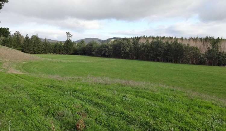 134 Millars Road Longbush_7