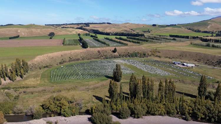 376 Ram Paddock Road Waipara_12