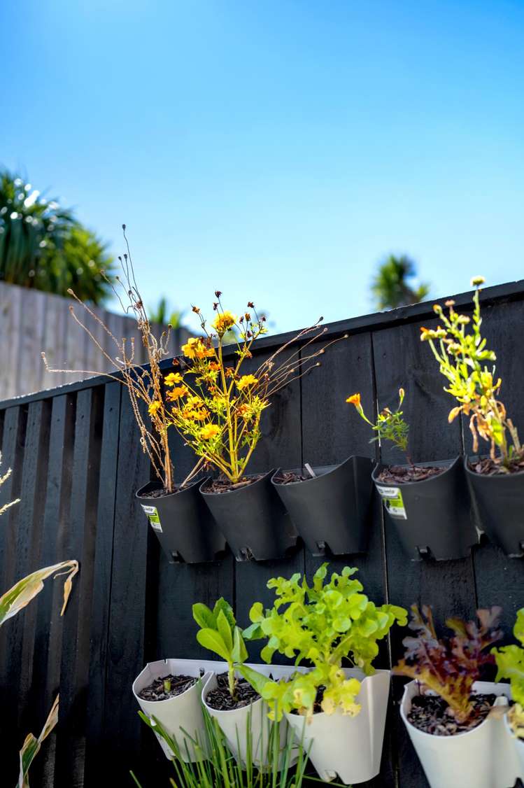 6 Rara Lane Manukau_12