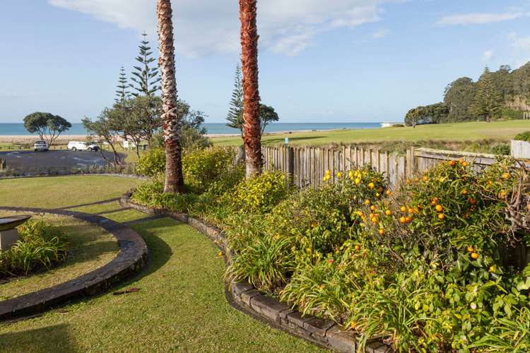 212 Onemana Drive Onemana_39