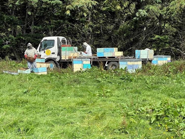 1405 Mangleton Road Central Hawkes Bay Country_9