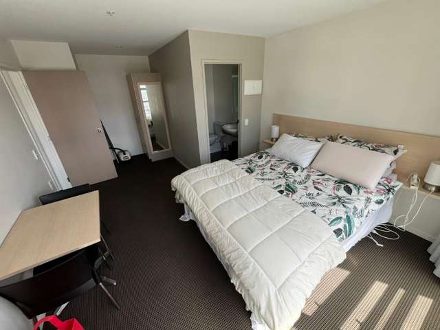 310/85 Wakefield Street City Centre_4