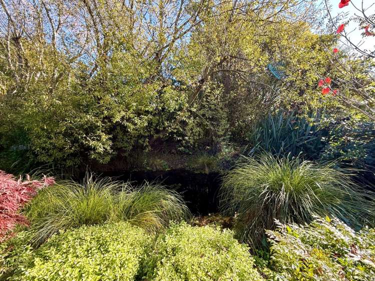  21 Bidwell Place Hillmorton_26