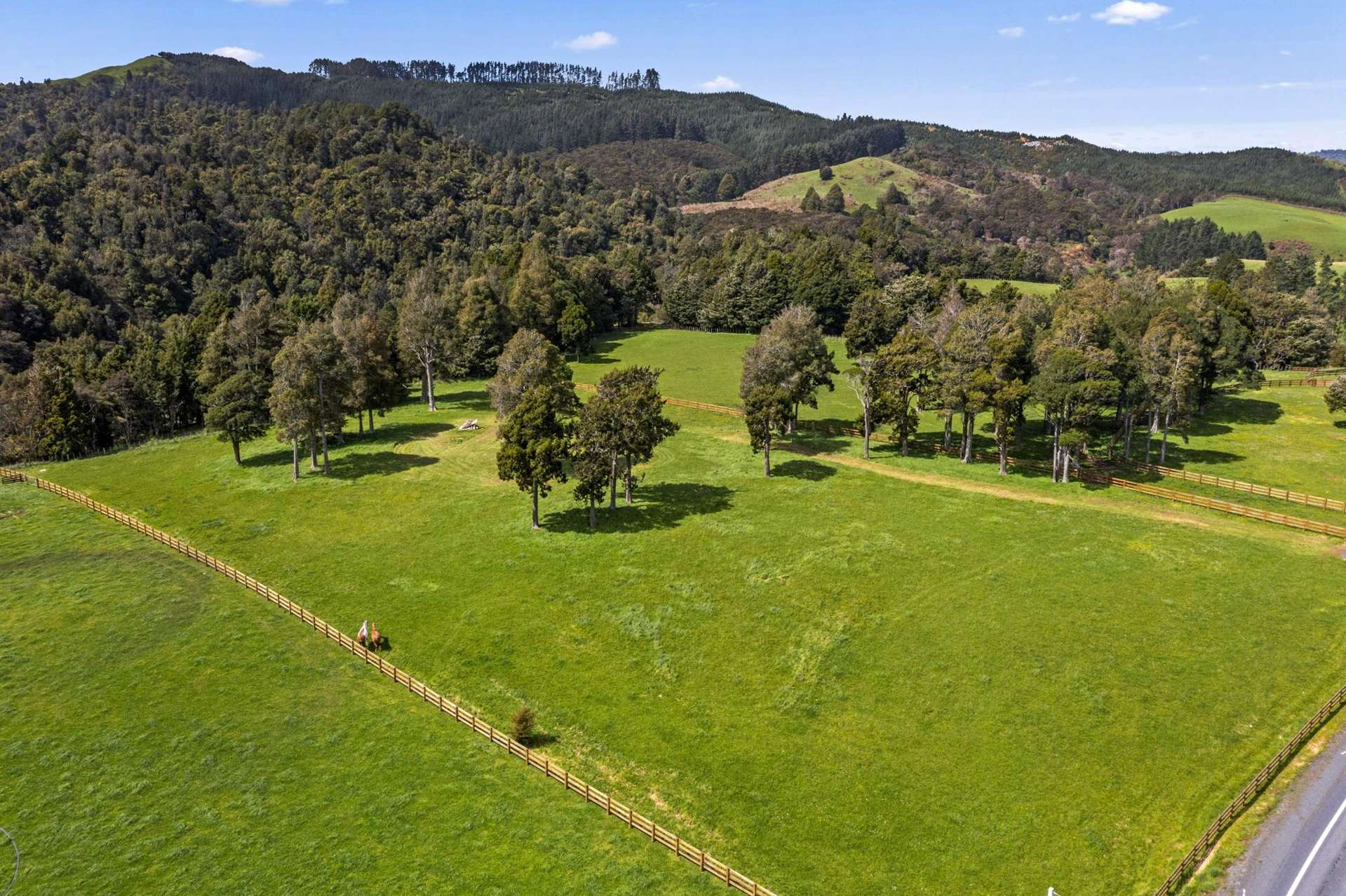 3028 State Highway 23 Raglan_0