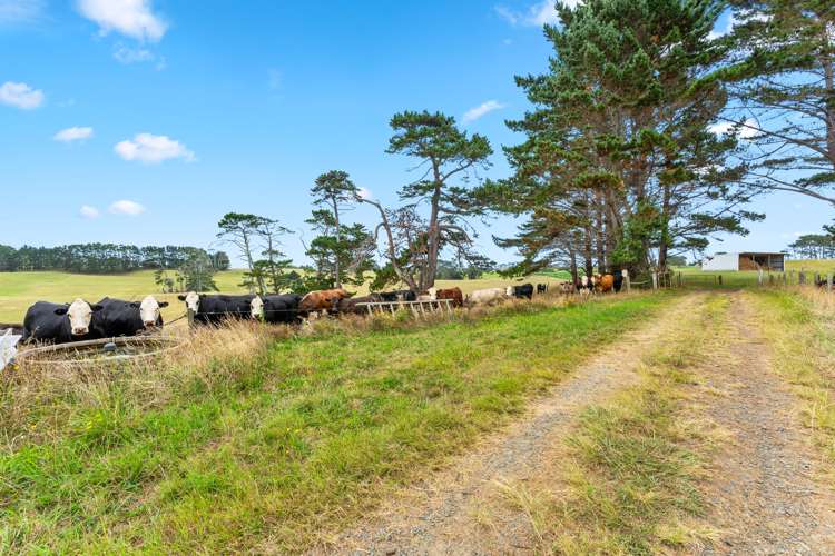 278 Te Toro Road Pollok_31