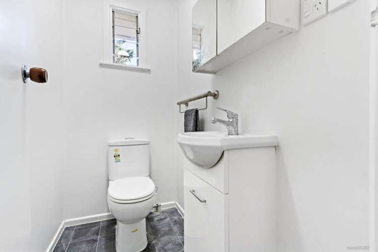 15 Hutchinson Avenue New Lynn_11