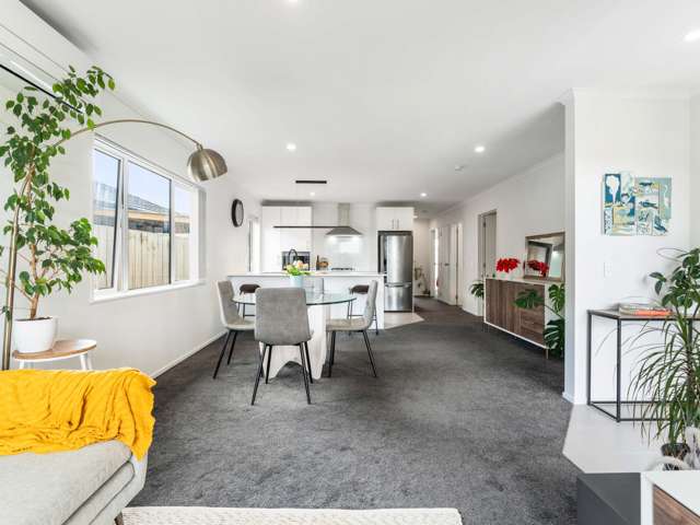 3 Katipo Road Takanini_1