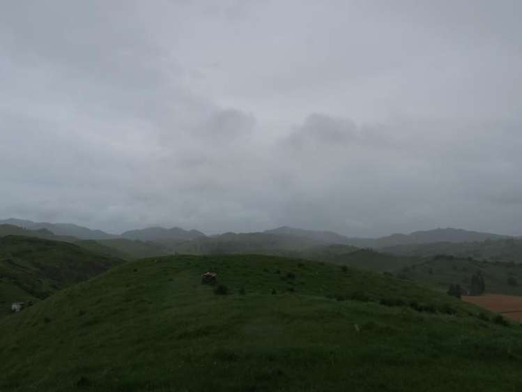 87 Tauwhareparae Road Tolaga Bay_7