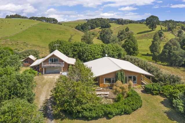 48 Pond Road Raglan_2